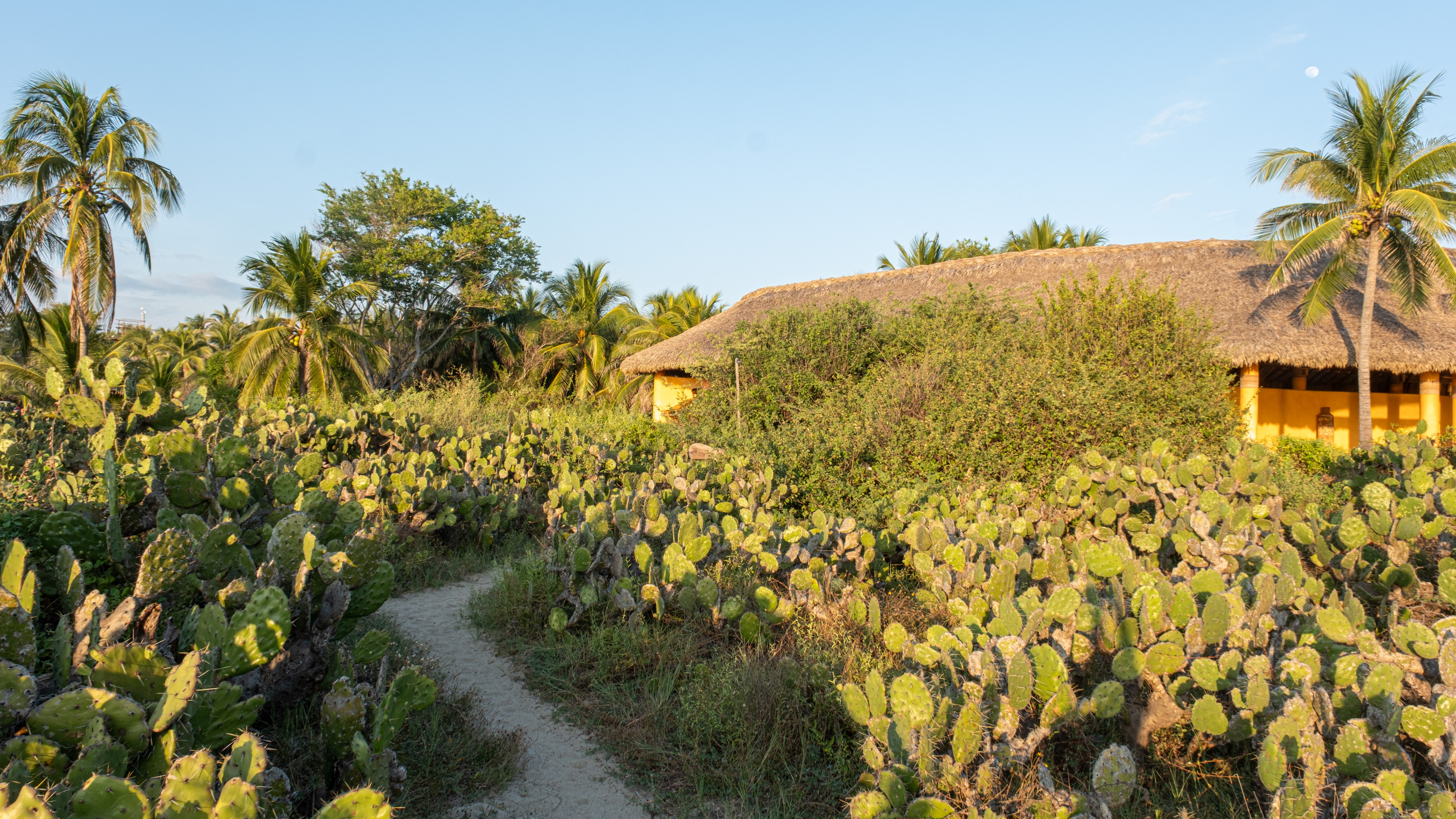 Palapa Club de Playa